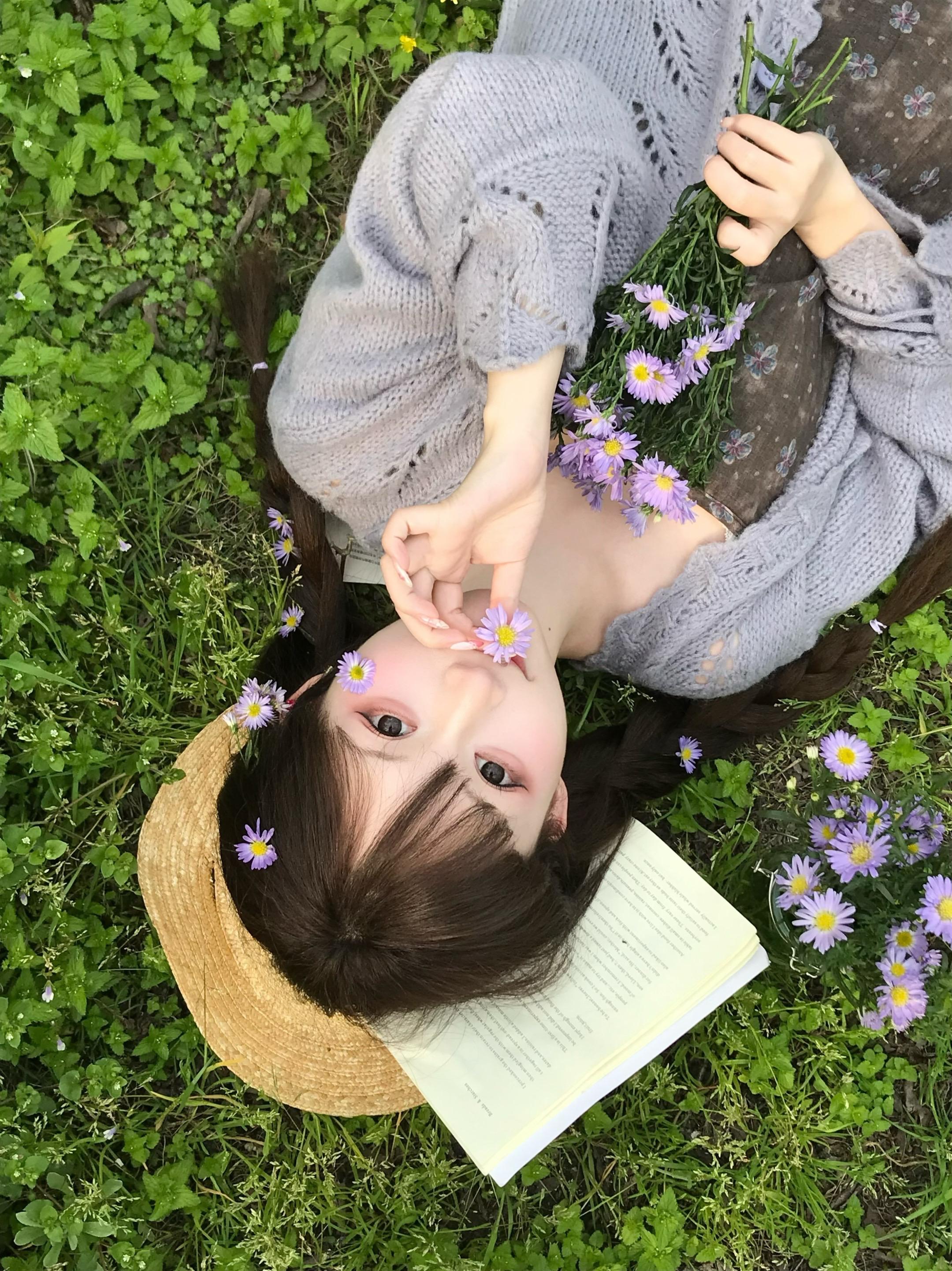 春日雏菊 🎀