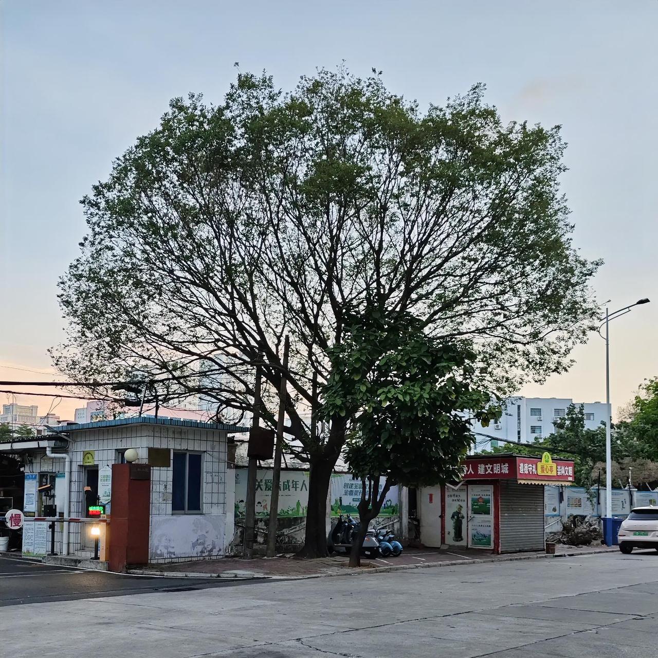 寥寥几句道透人生真相：岁月匆匆，岁月推着人慢慢老去，光阴耗尽便是别离。世间人事万