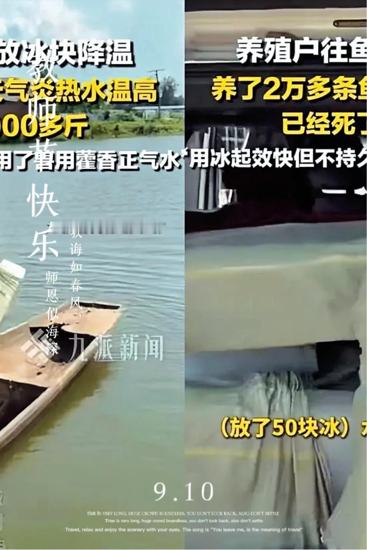 这年头，真得信书里的道理——不然坑随时在脚下等着。
 
就说给鱼塘放冰的大哥吧，