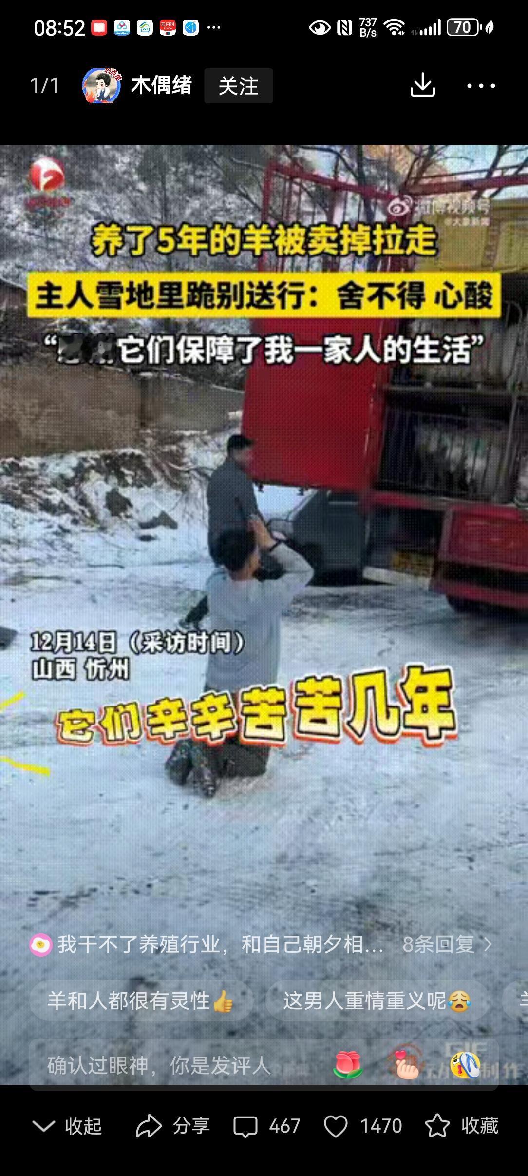 山西忻州一名男子将养了5年的羊卖掉，当所有羊都被装上车即将被带走时，男子再也忍不