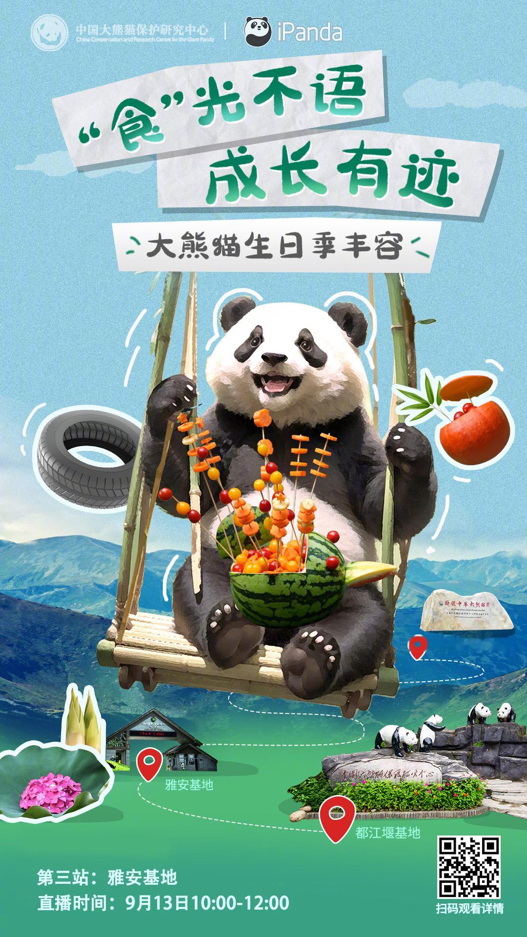 【直播预告：#大熊猫生日季丰容#终点站——雅安基地】中秋前夕，爱意满满！[哇]想