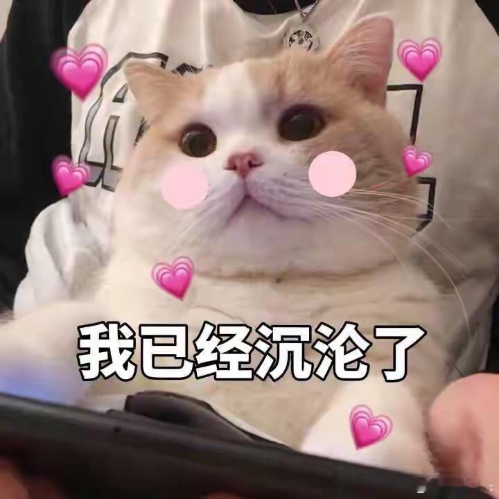 AI短剧，说白了就是给大脑准备的数字兴奋剂。短短几分钟一集，冲突反转不停蹦出来，
