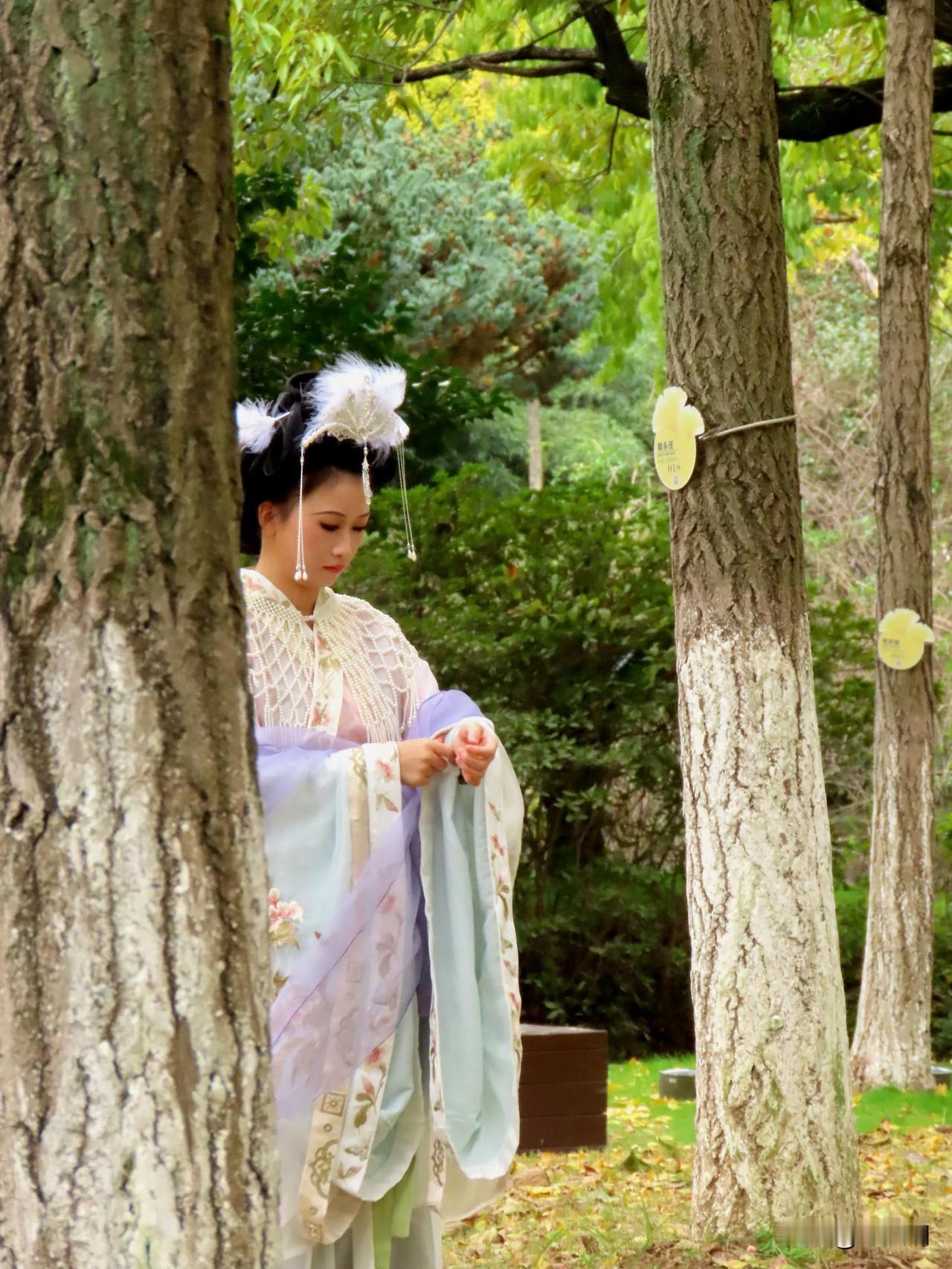 古风少女在林间，轻抚裙摆，梦回千年。