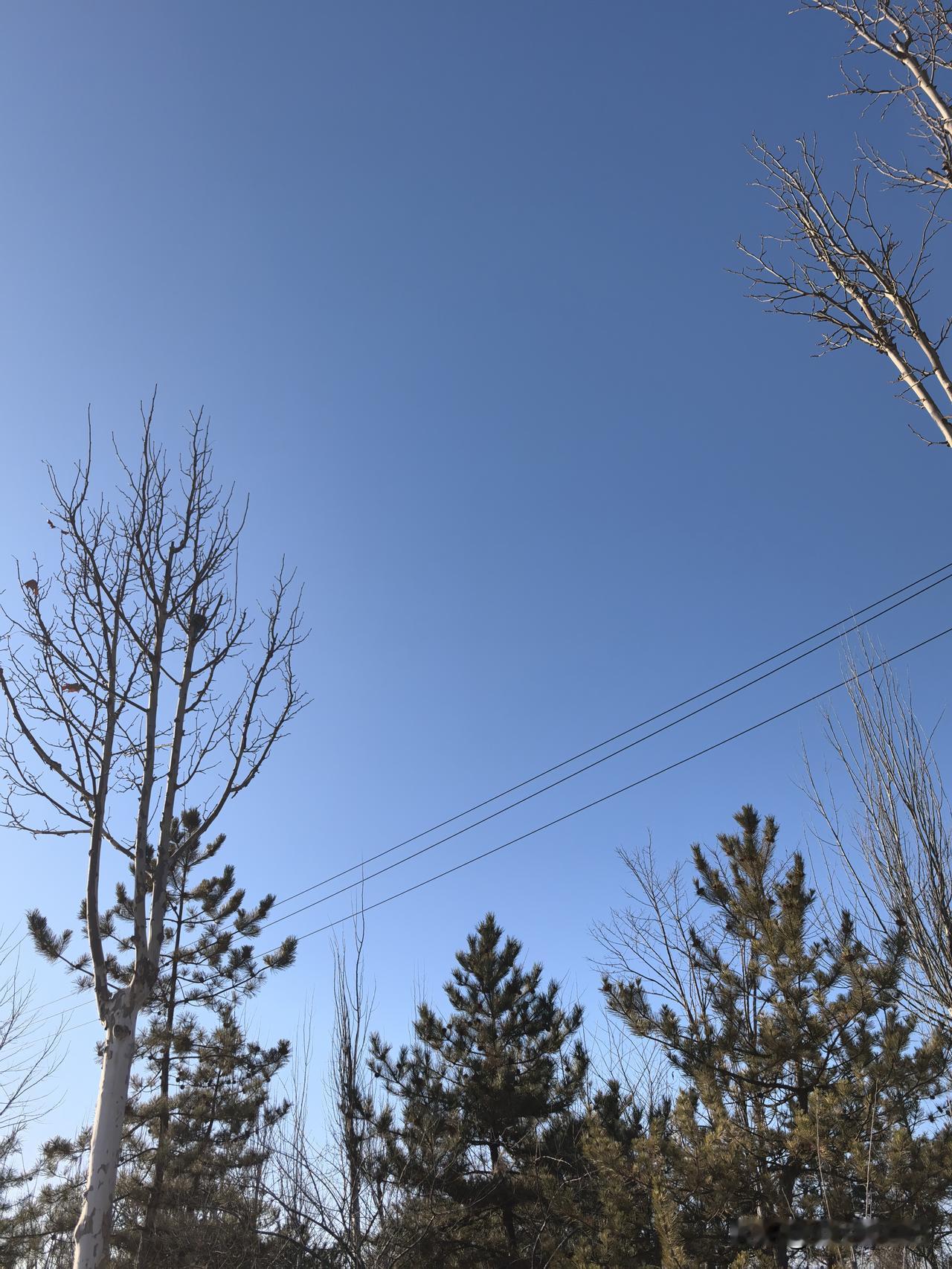 周末的日子因了户外简单活动，舒缓了疲惫，让抱着手机的眼睛好好放了一次风。
原来生