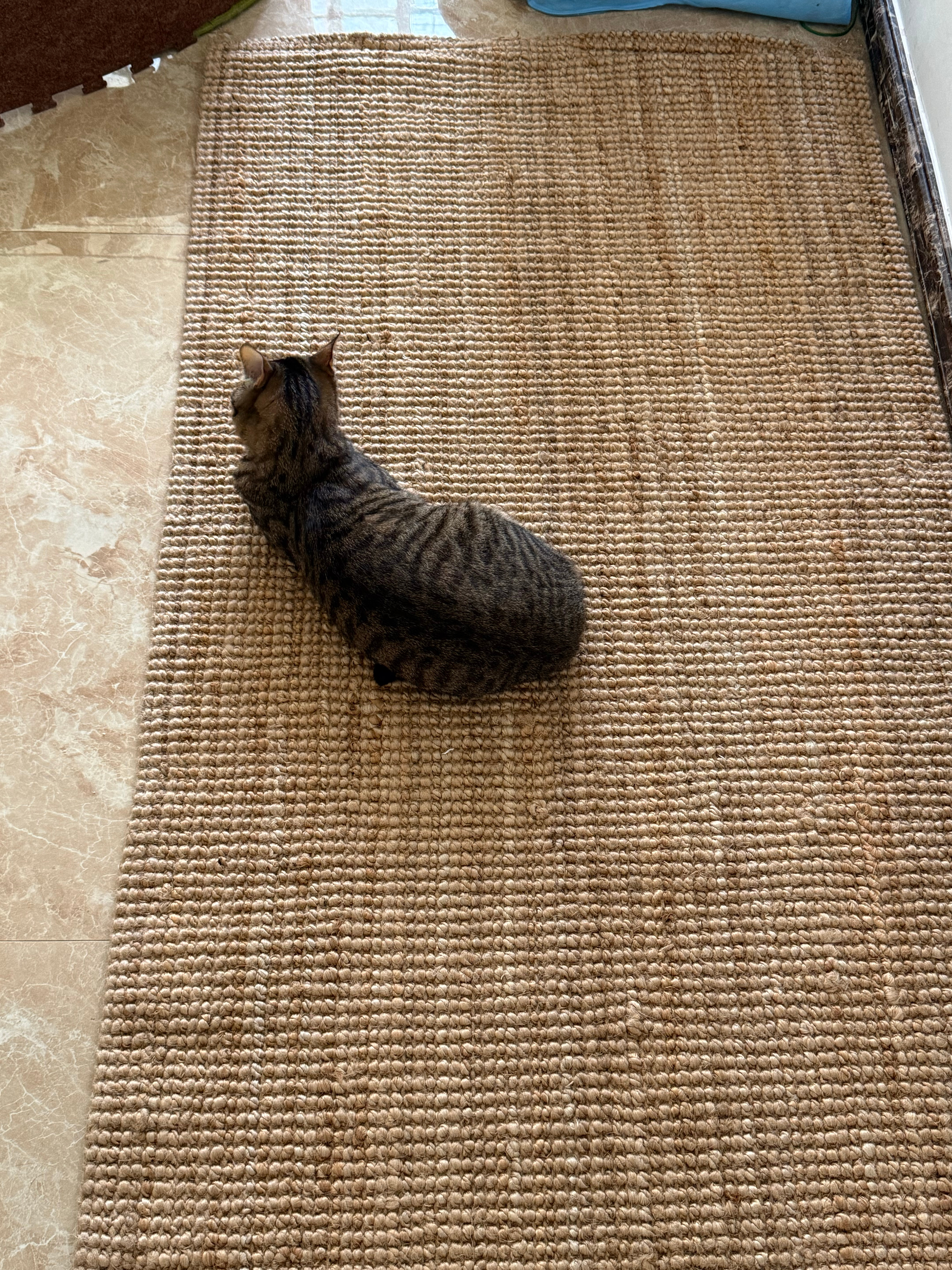 好舒服 