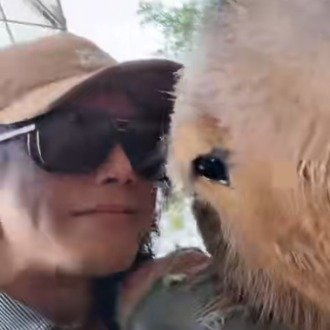 华晨宇气得卡皮巴拉一个闪身步华晨宇和卡皮巴拉互动太有梗，花花一动，卡皮巴拉立刻闪