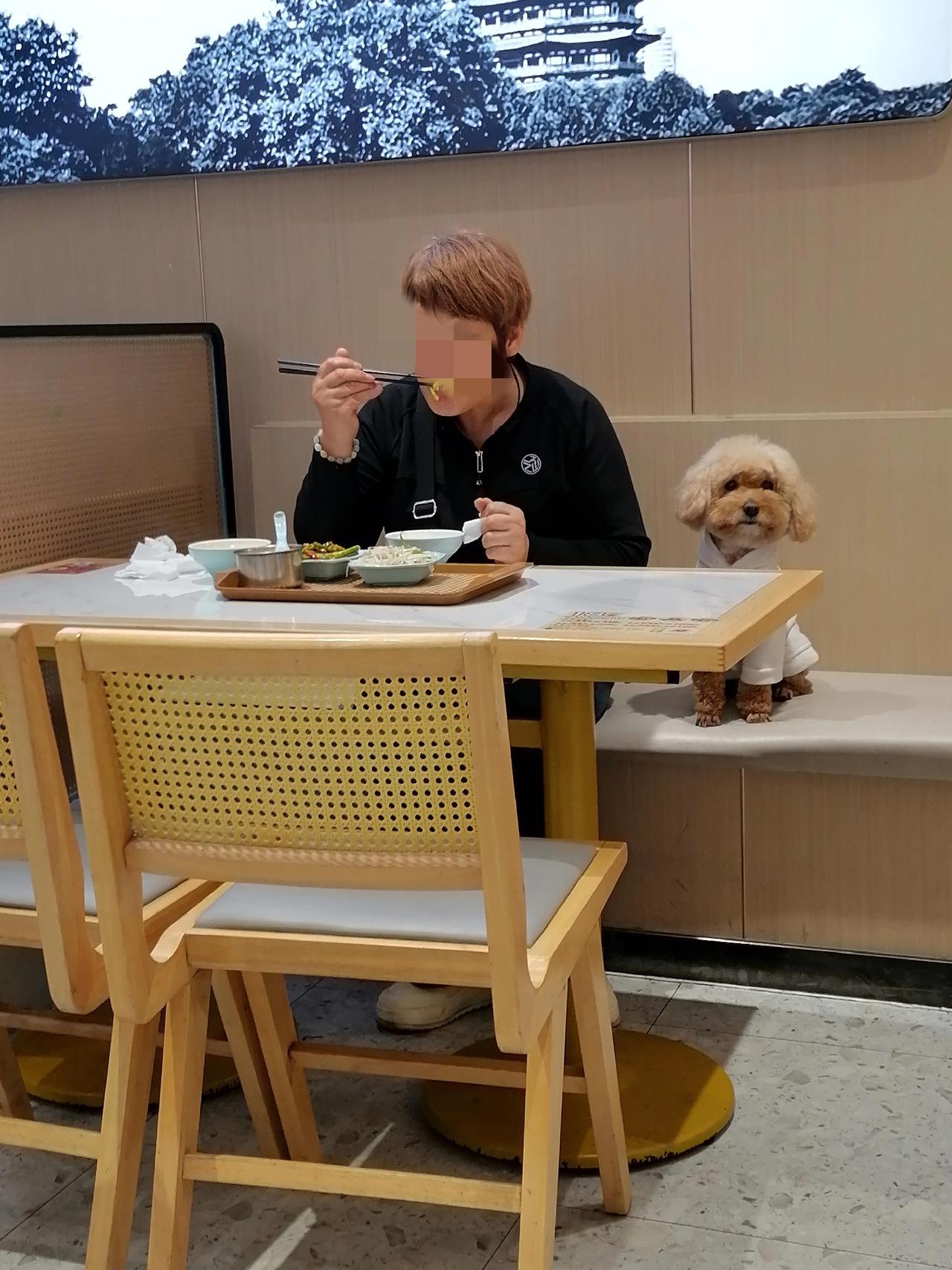 在一个小餐馆吃饭，一位老太太带着狗进来了。她一边吃一边喂狗，自己吃一口，就给狗喂