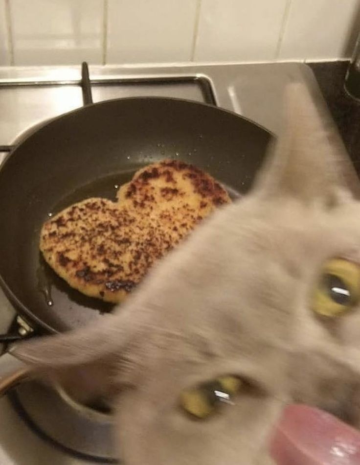 分享图片 ​​​