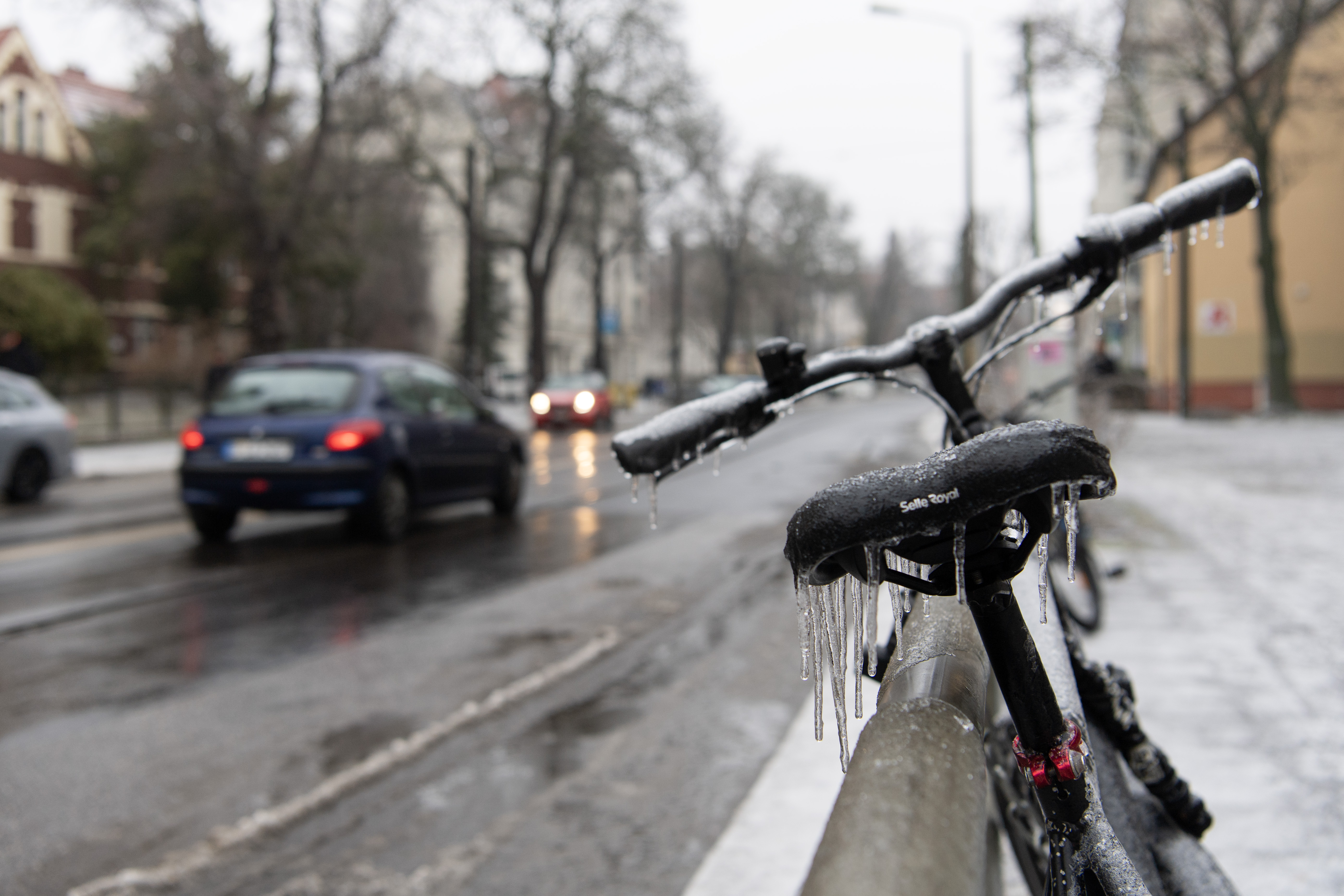 调查显示德国经济景气指数暴跌