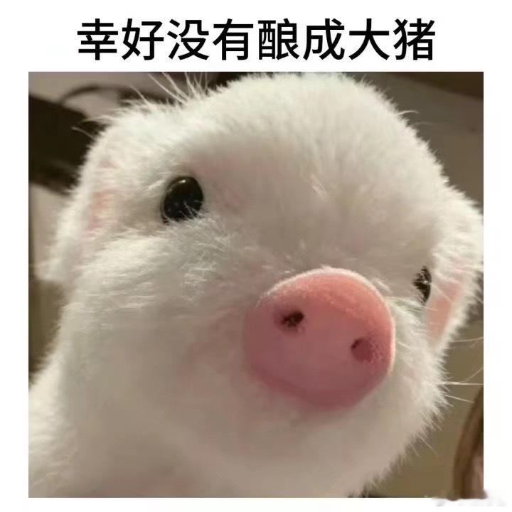 把“错”换成“猪”会发生什么 