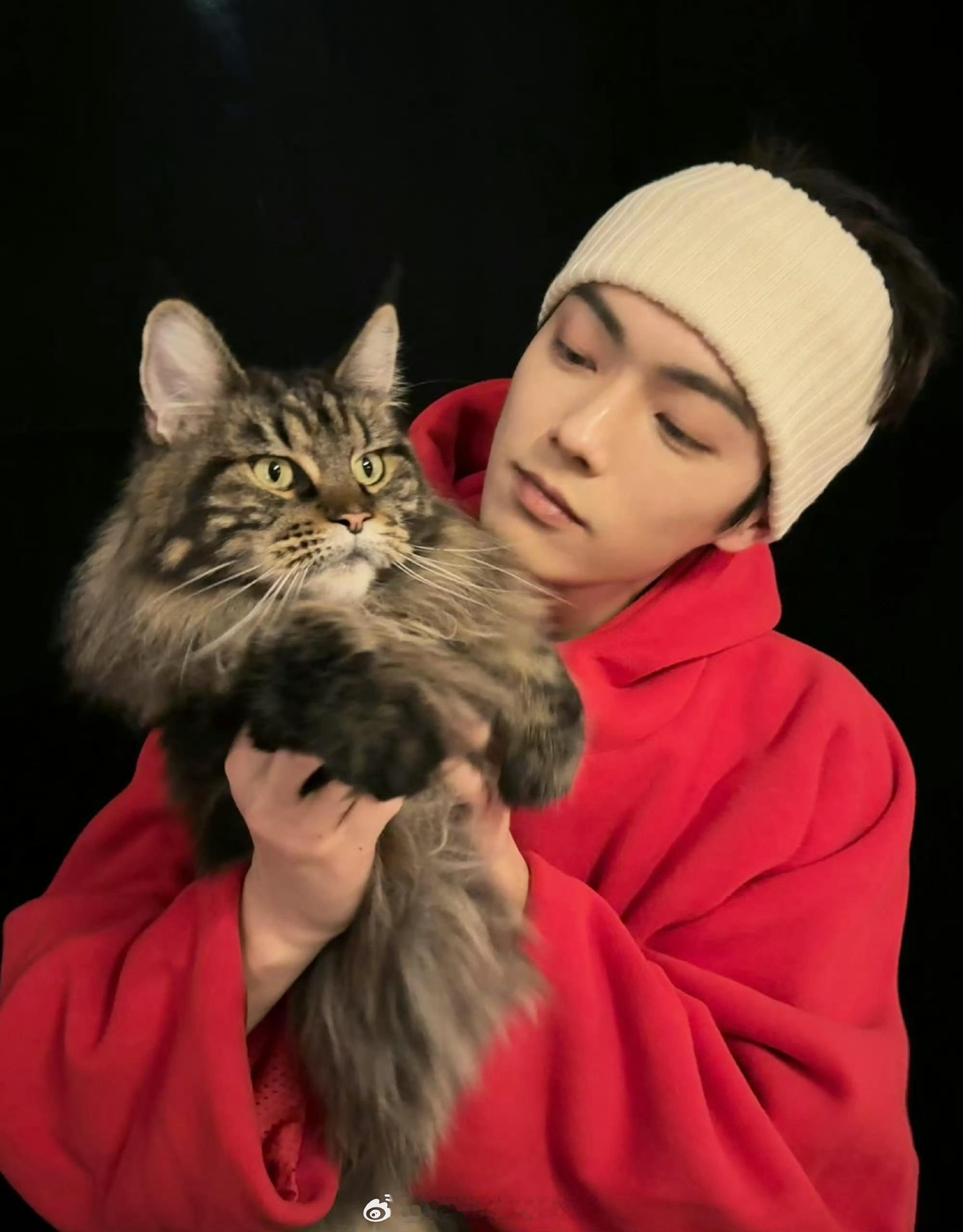 许凯今日份营业好帅....人和猫都超帅！ 