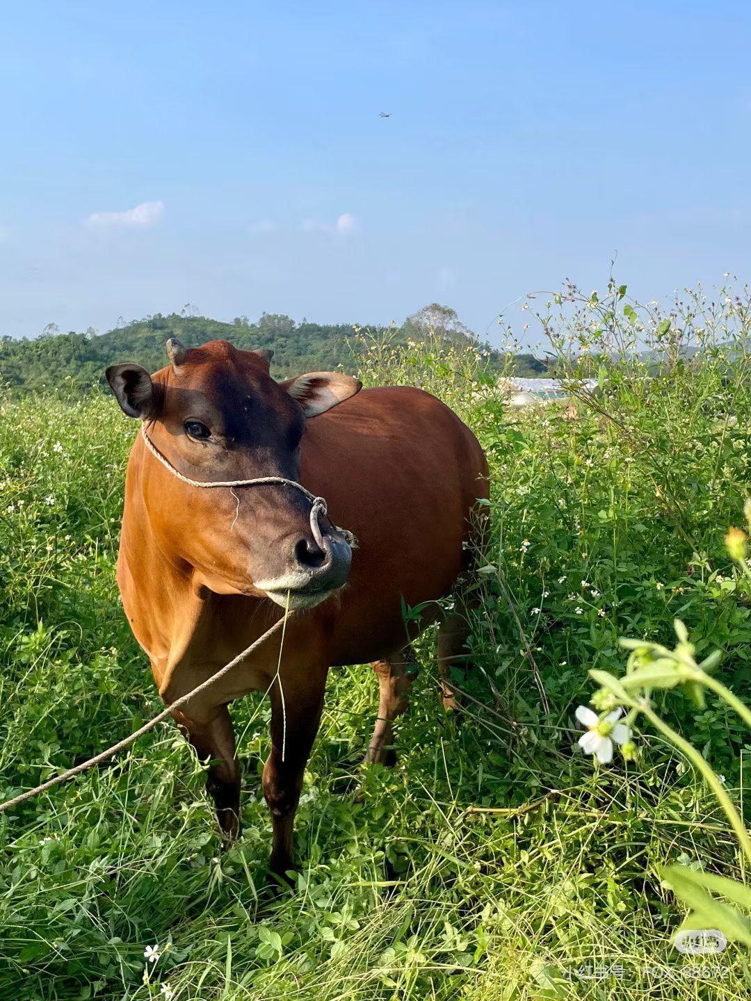 如果人能一辈子不生病你愿意吗这是长生不死吗[呲牙]不愿意，人都会生病，偶尔感冒下