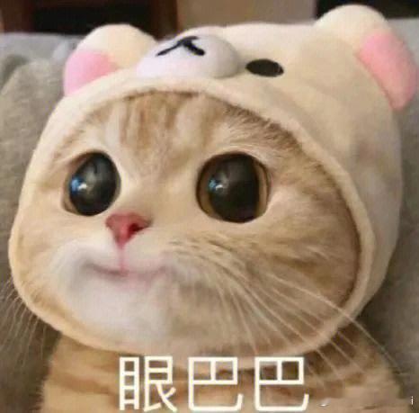 网文IP持续撑起短剧爆款赛道 从网文原著到荧幕短剧，IP 改编自带天然号召力。高