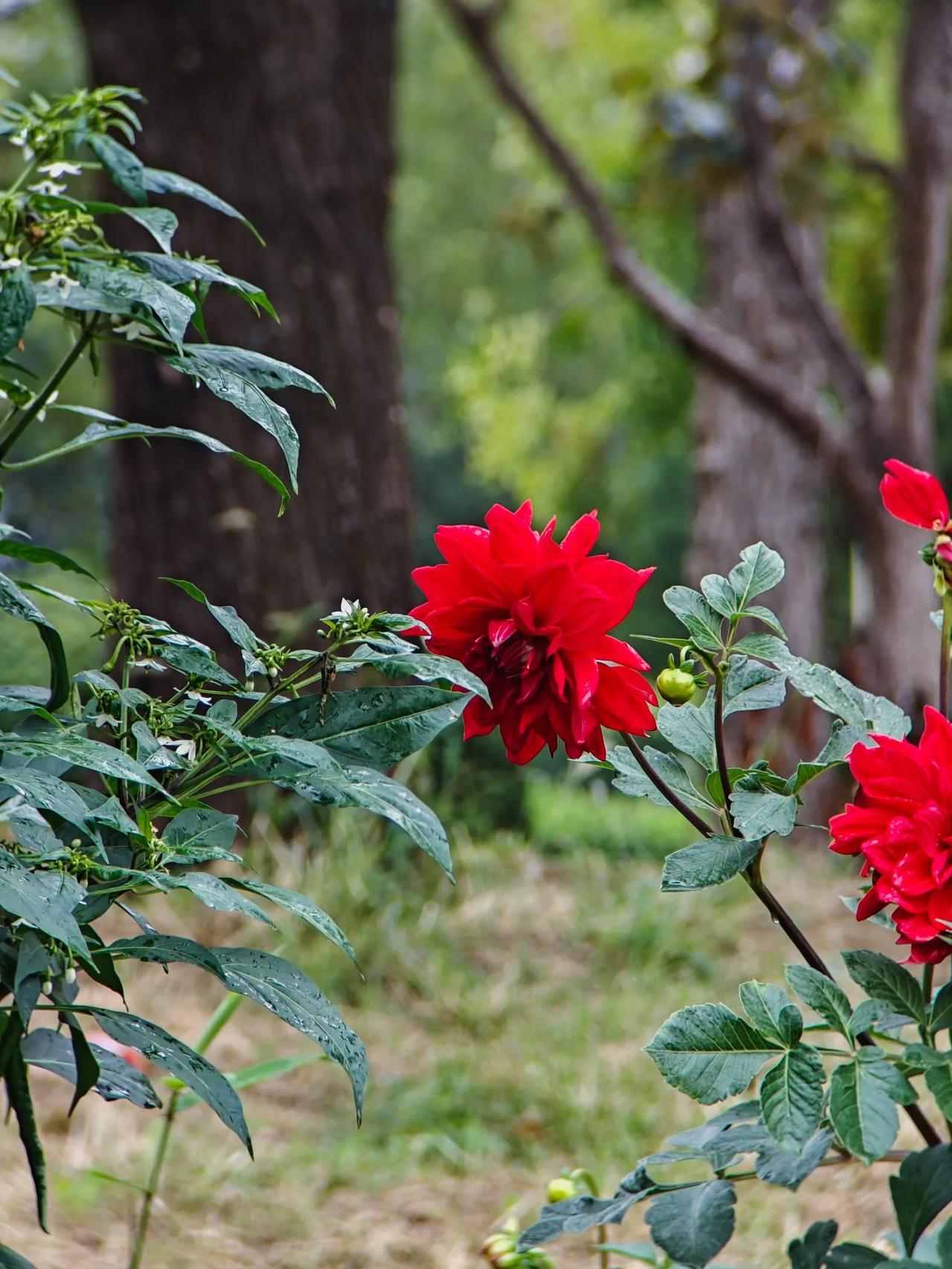 光与影的交织，能够滋养人的思维，催生一种情绪，讲述一个故事，让人读懂镜头背后的深