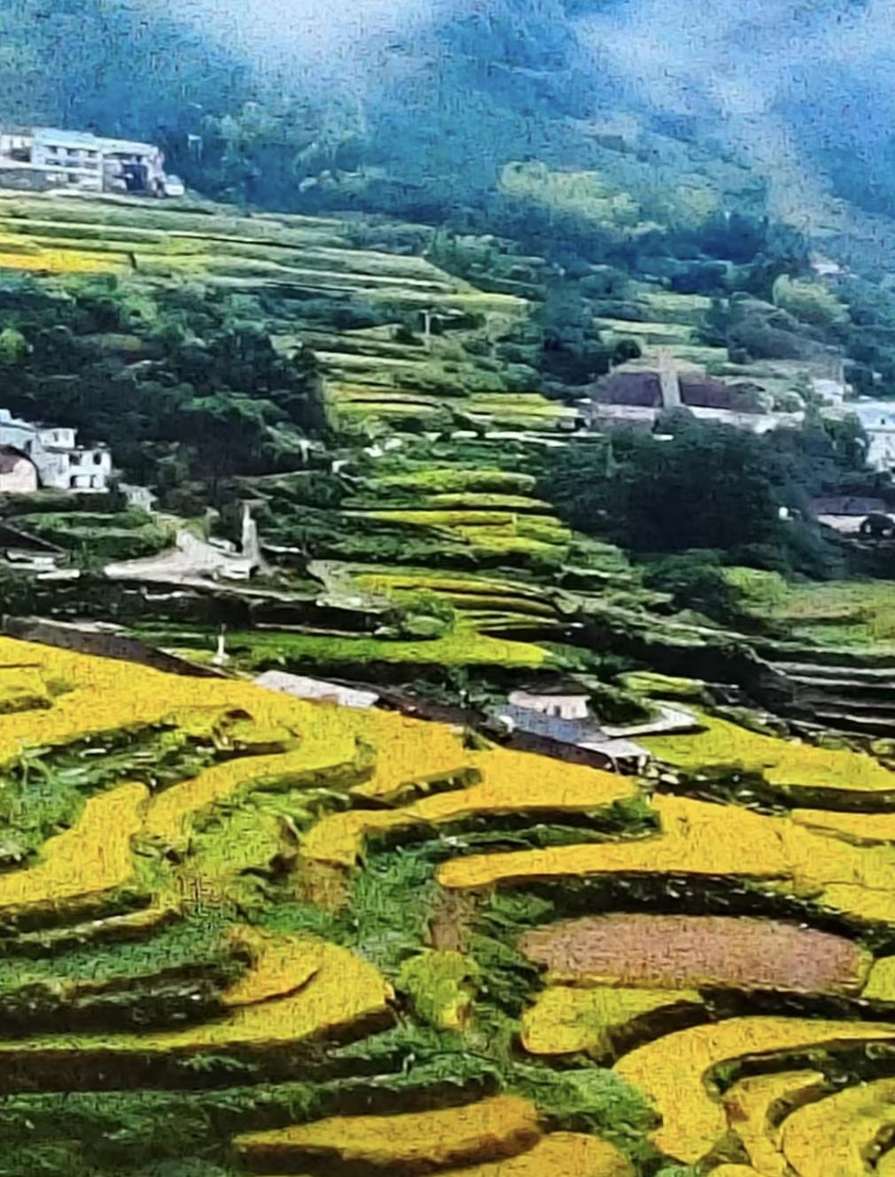 下周一今年来盘子最大的新股将在北交所发行
    虽然还没有正式公布，但是从网上