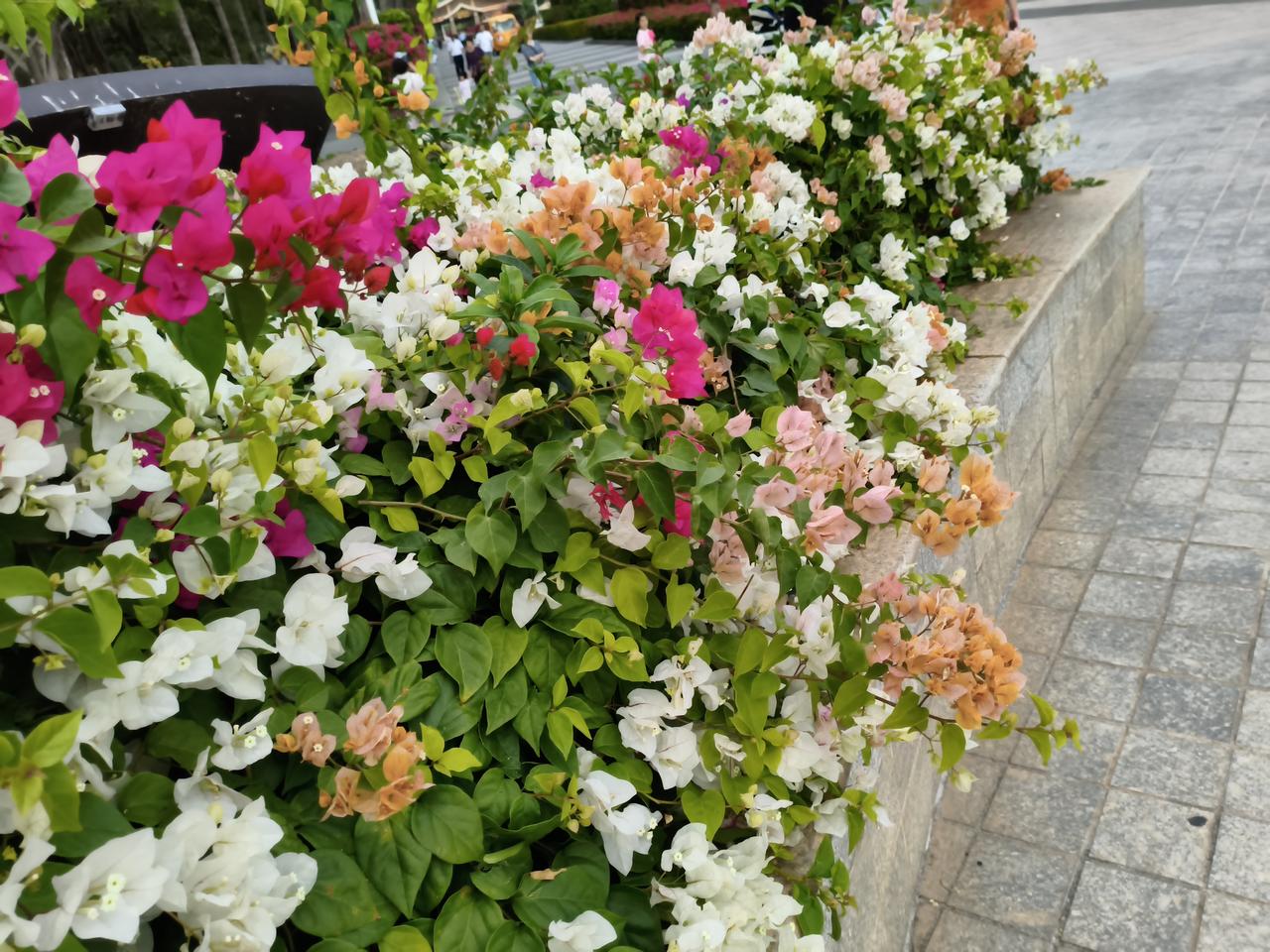 行业间的差距真是没法比，同样是企业，电业的工资水平真是让人扎眼。闺蜜是县城电业局