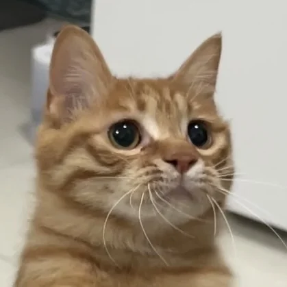 撅嘴撅嘴