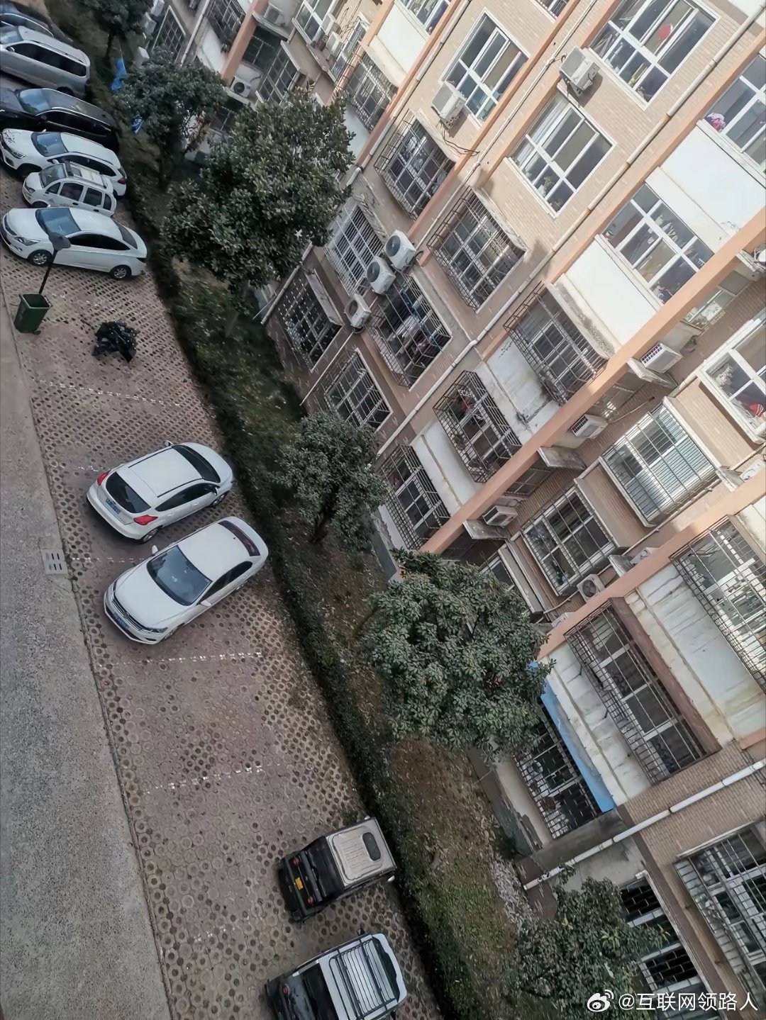 身为10年驾龄的老车主，每次停车我都会特意停在新能源车旁边，你们知道是为啥吗？ 