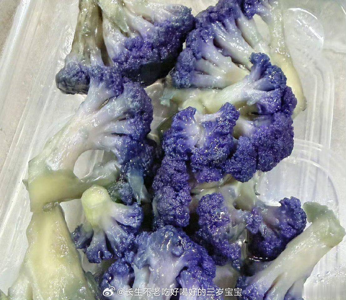 看关晓彤吃才知道有紫色西蓝花以前真不知道西兰花还有紫色的！晓彤这波属于是带我们长