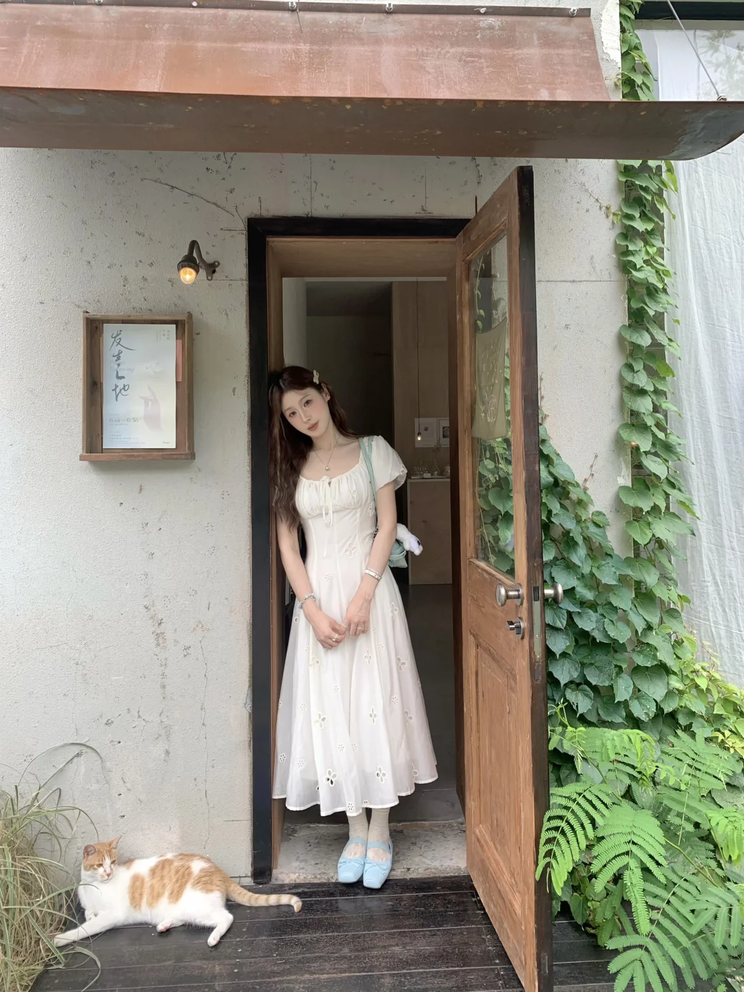 小白裙 🤍⁺₊ ⸝⸝⸝⸝