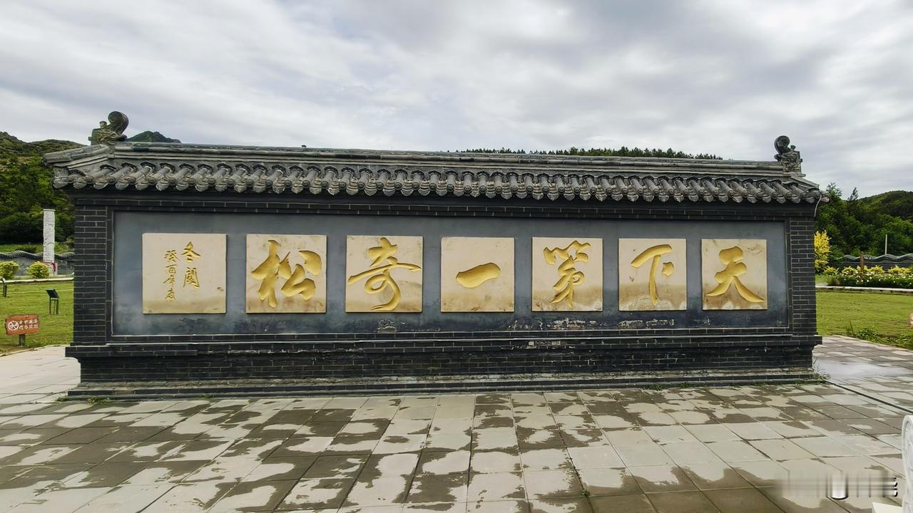 ＃实拍千年九龙松＃
6月4日，我奔赴河北丰宁满族自治县的九龙松景区。
这里有一棵