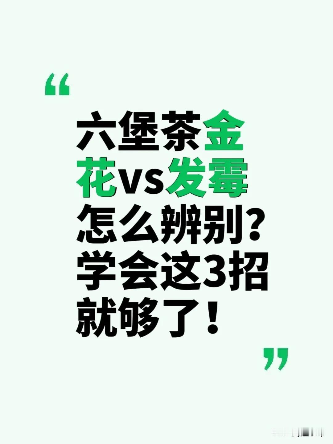 六堡金花VS发霉怎么分辨？学会这3招就够了

平常看到存放年份久远的六堡茶长满“
