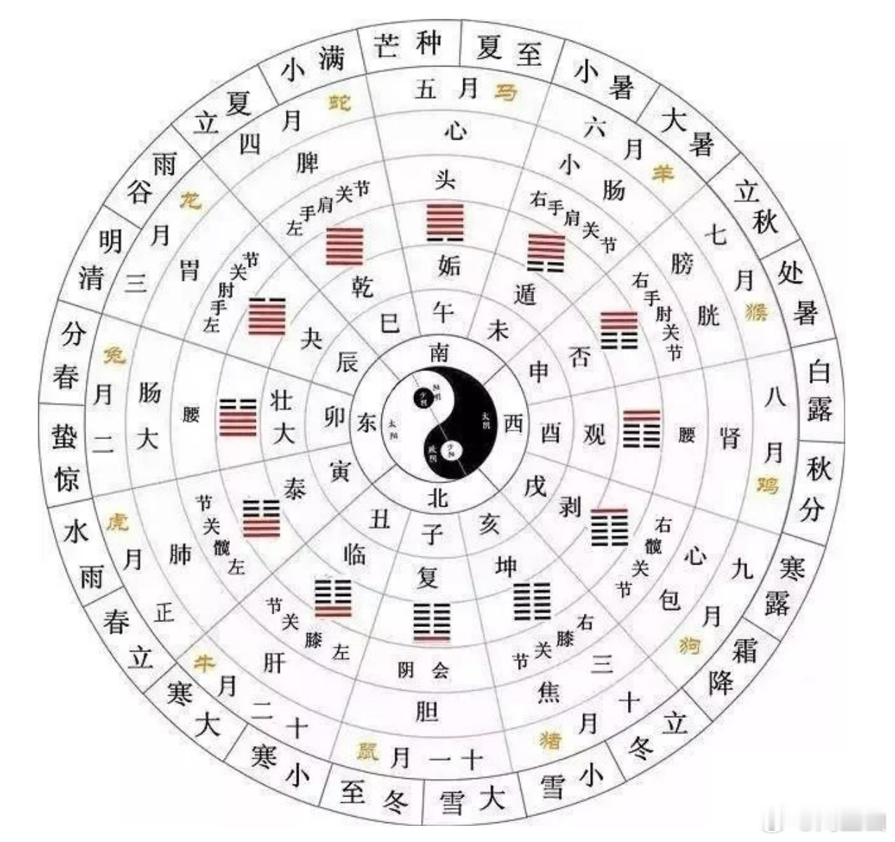 #惊蛰# 微雨众卉新，一雷惊蛰始。（韦应物） ​​​