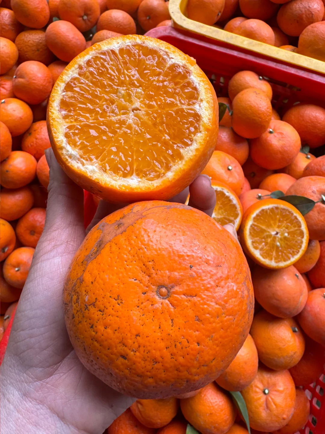 别看我丑丑的，孕妈妈都可以放心吃哦❤️