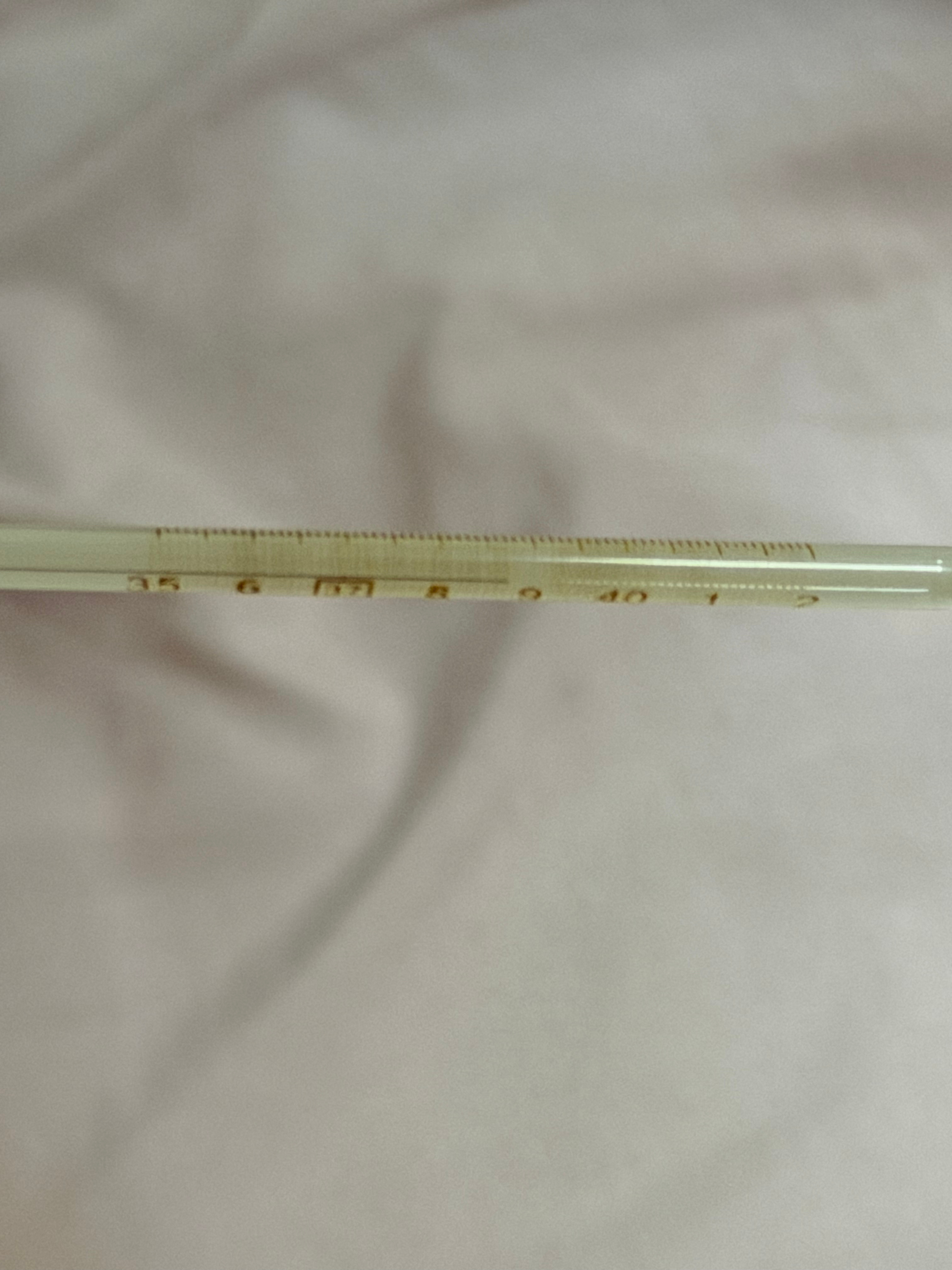 昨天下楼检验租来的车 没说两句话 送车的小哥就听出了我鼻音很重 问我是不是感冒了