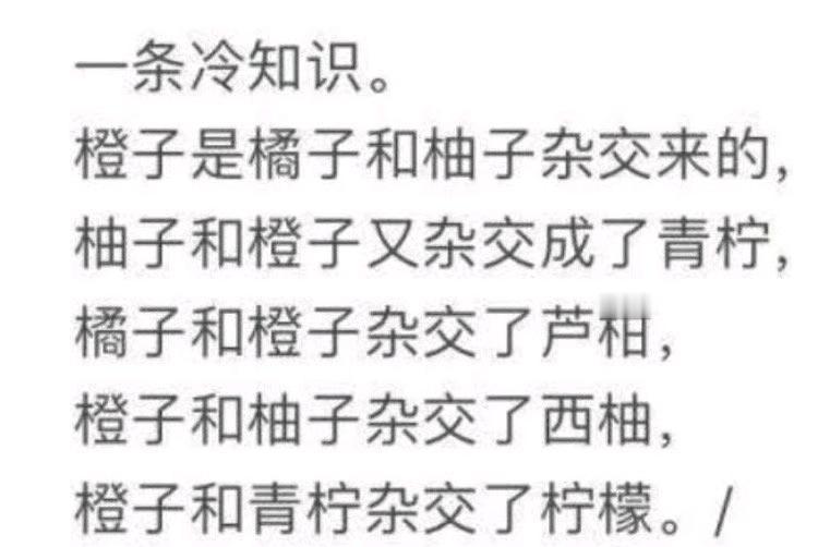 橙子柚子嫁接冷知识