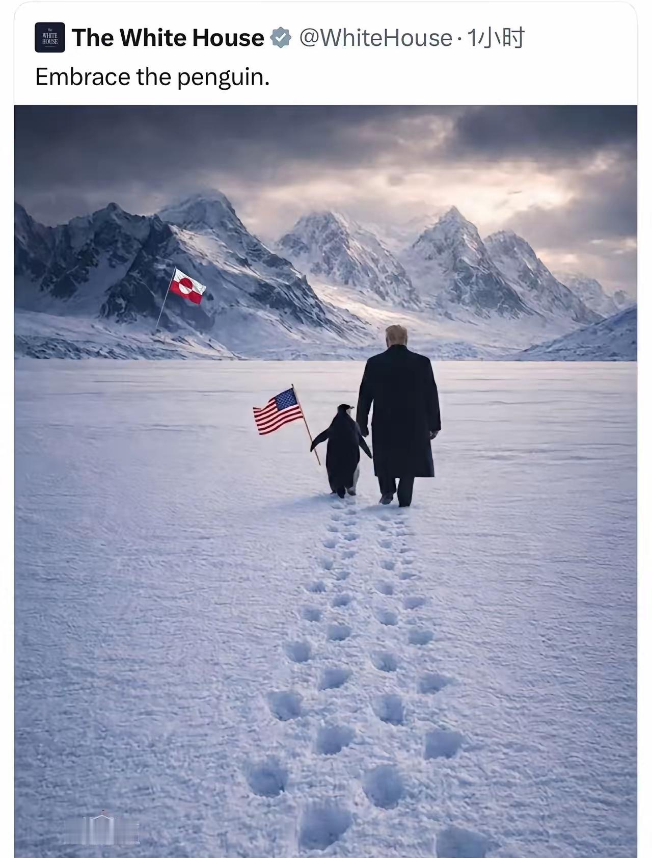 白宫P图翻车笑掉大牙！特朗普牵企鹅踏雪格陵兰，丹麦人：咱这压根没这物种
 
谁能