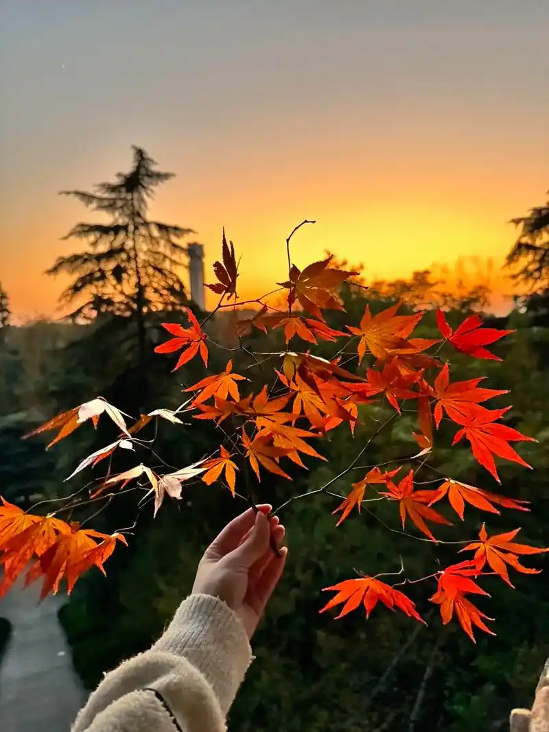 大格局用杀，其次是财。不管是阴阳日，均是用杀。权力优先于钱财。 