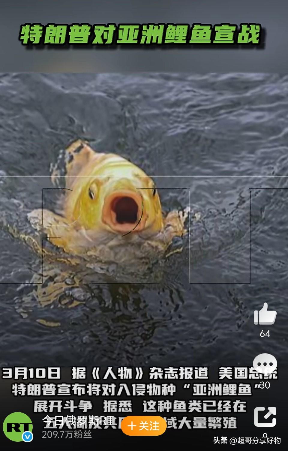 看似强硬的生态表态，实则是政治叙事大于治理实效，既折射美国外来物种治理的长期困境