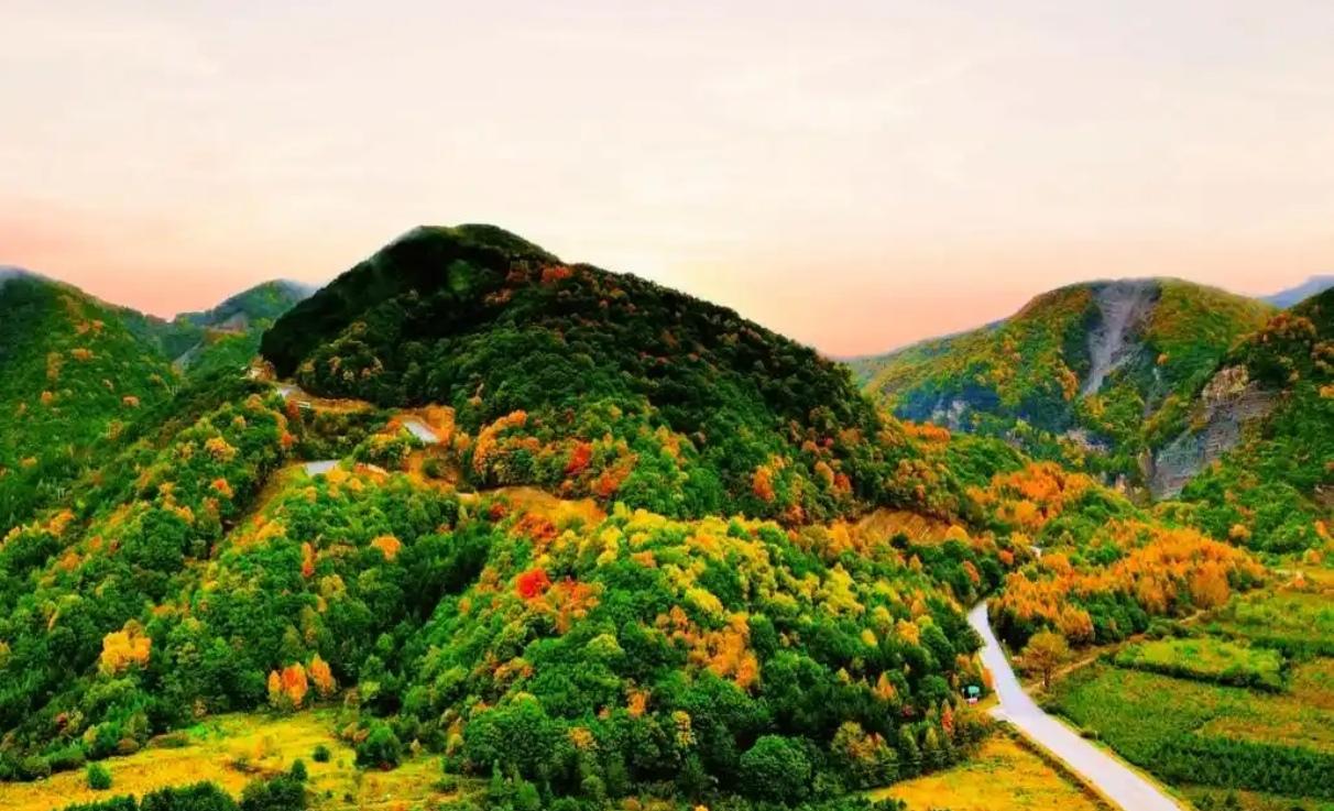 六盘横亘陇上，是黄土高原深处独有的清灵秘境。
群山连绵起伏，苍松覆满山峦，流云漫