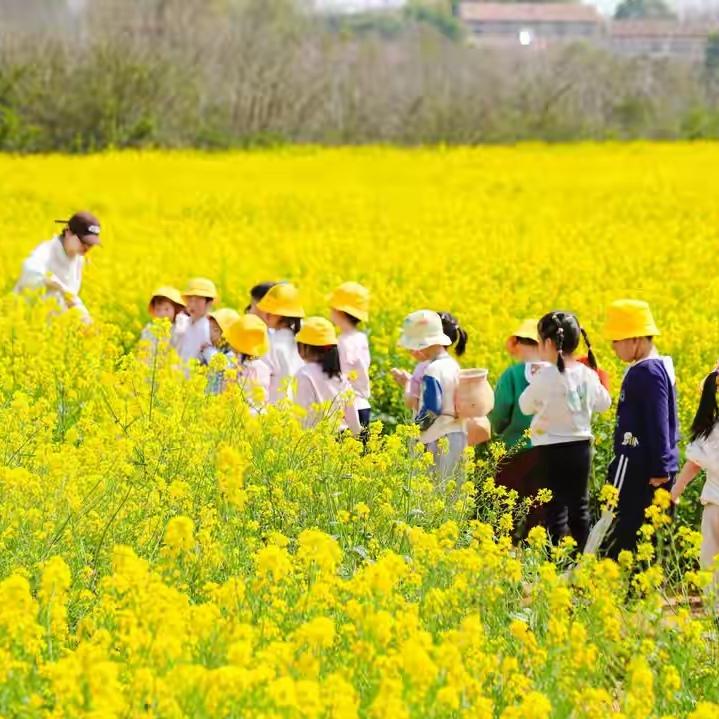 山东某小学收了学生10块钱春游费，拉了一车人跑了半天，最后直接停在了学生家门口？