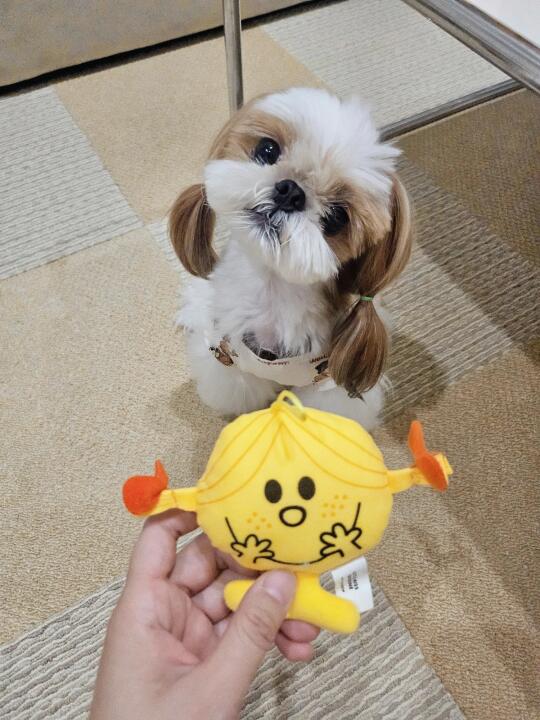 像吗？不像删贴👧🏻