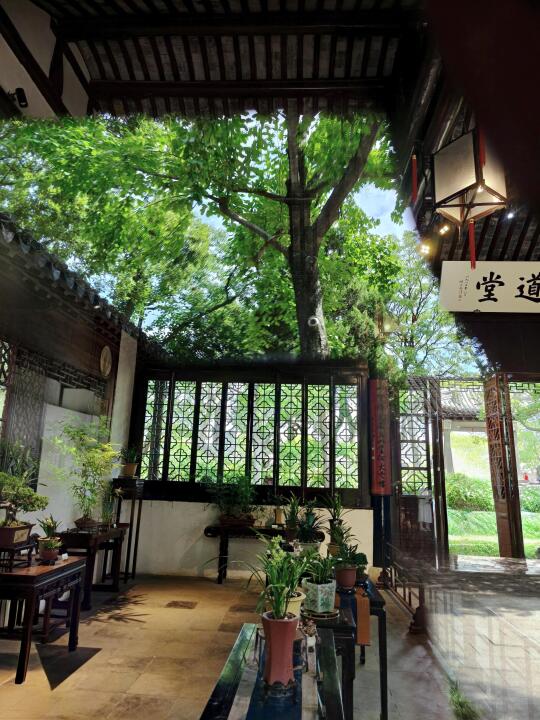 🌿沧浪亭兰花展｜仅开放10天❗千万别错过～