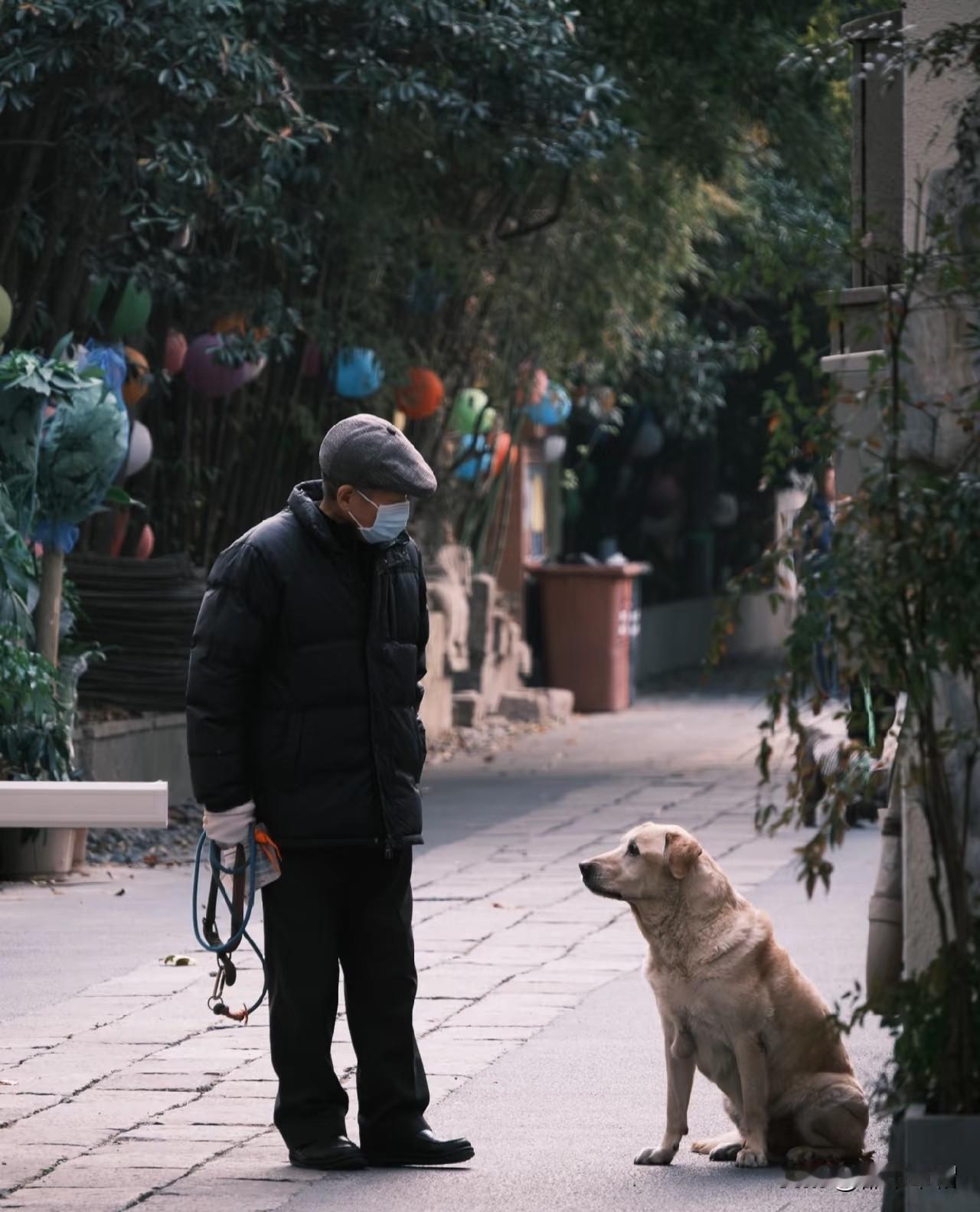 周末想睡个懒觉，六点多就被对面那家的狗吵醒了，阳台上简陋的狗屋里养了一大一小两只