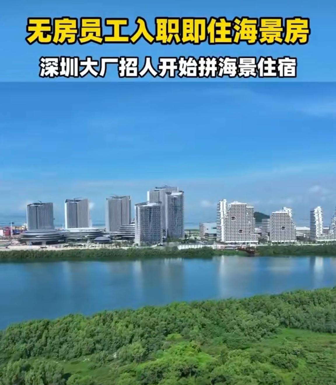 无房员工入职即住海景房公司附近几分钟通勤、推开窗真海景、高颜值精装+齐全家电，楼