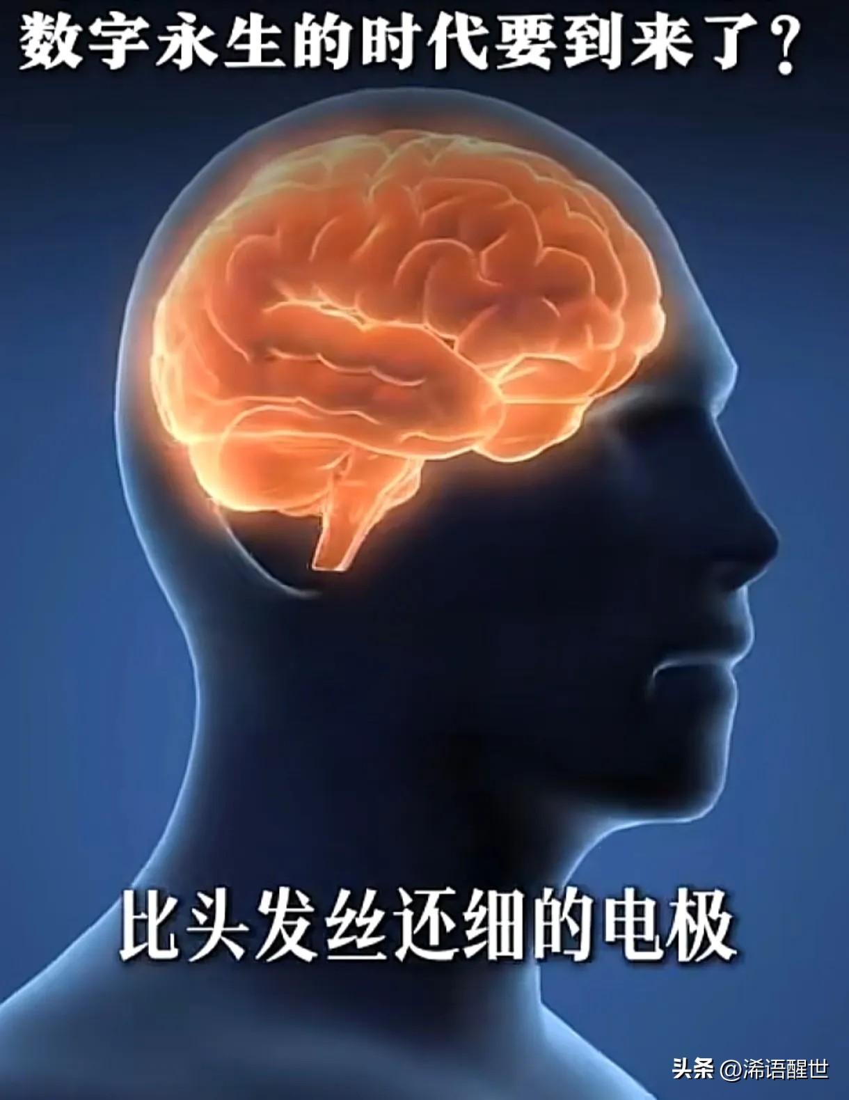 马斯克的脑机接口快要量产了，不少人越想越害怕。要是大脑里被植入芯片，万一被人控制