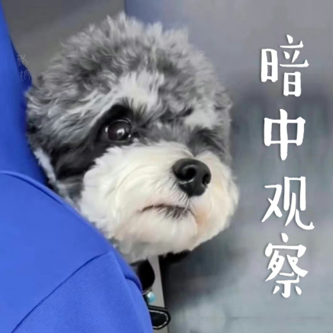 摩登兄弟  老大真棒這編那編貨都要沒有了