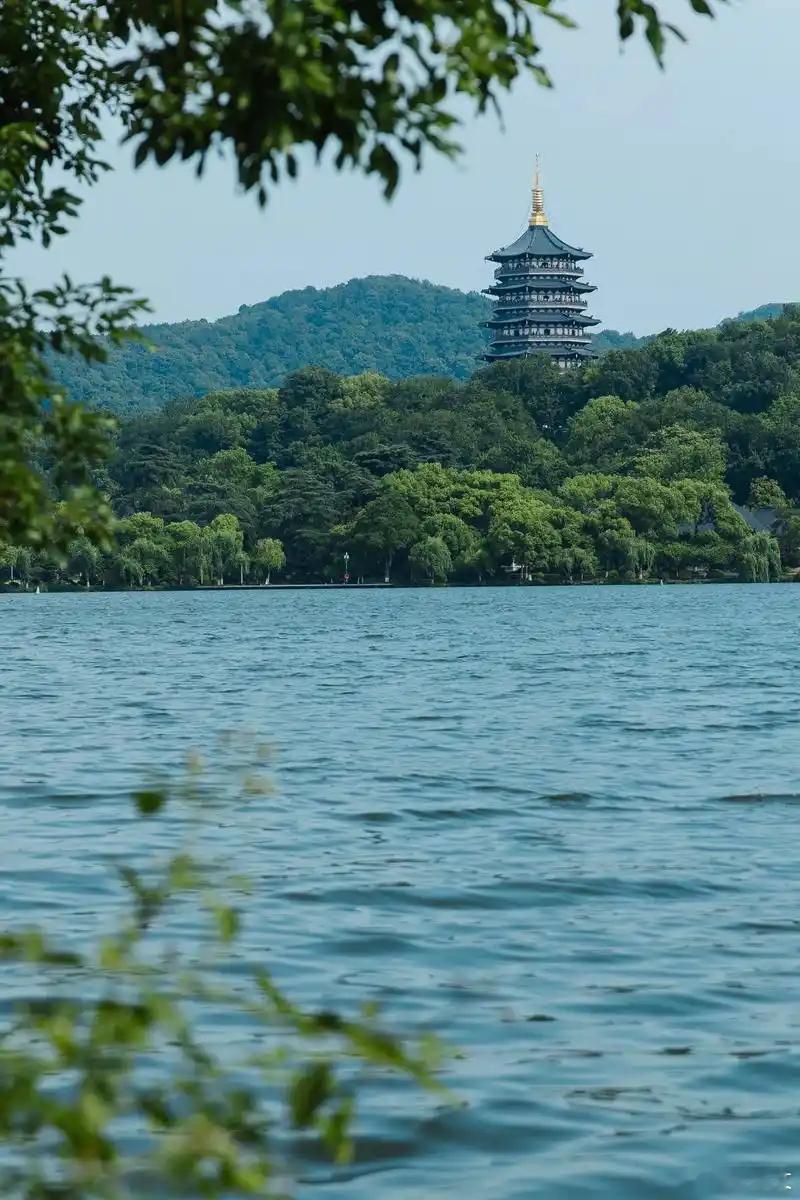 杭州西湖将连续一周撒7吨漂白粉 4月8日晚起，西湖启动年度荷区“清塘”作业，未来