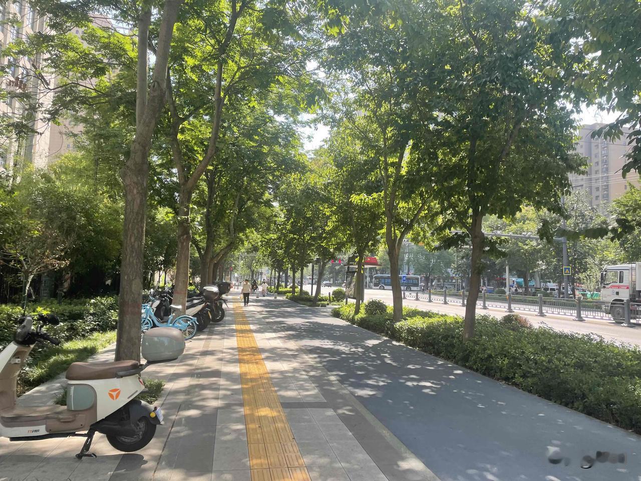 【七绝•松下清风】
松下清风自坦然，
携云裹月过千山。
竹篱茅舍炊烟里，
几许金