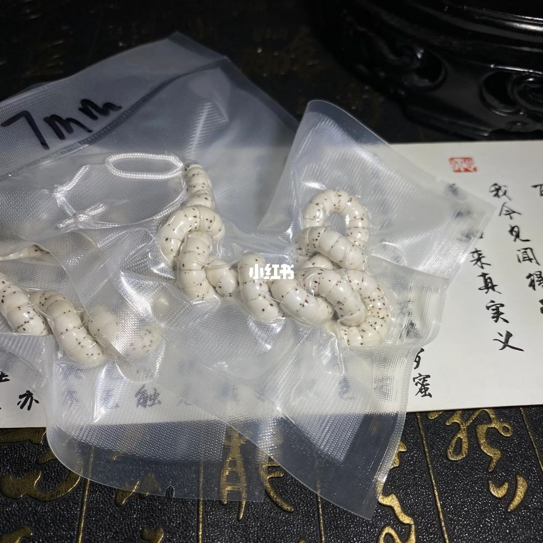 大肠星月4.0版本