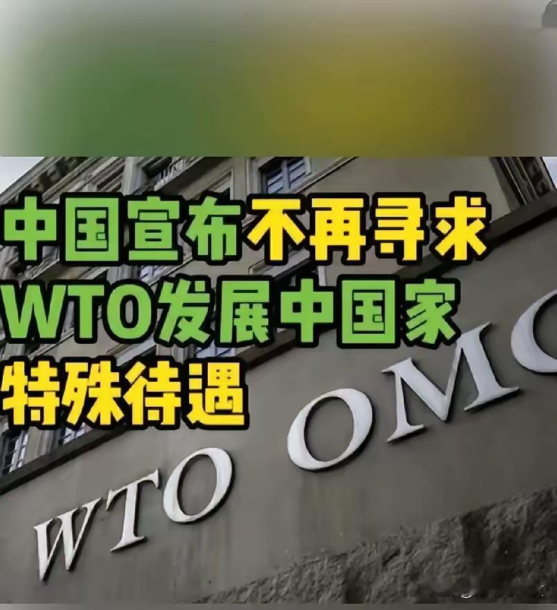 在9月23日召开的美国纽约第80届联合国大会上，中国政府在大会发言时，向全世界庄