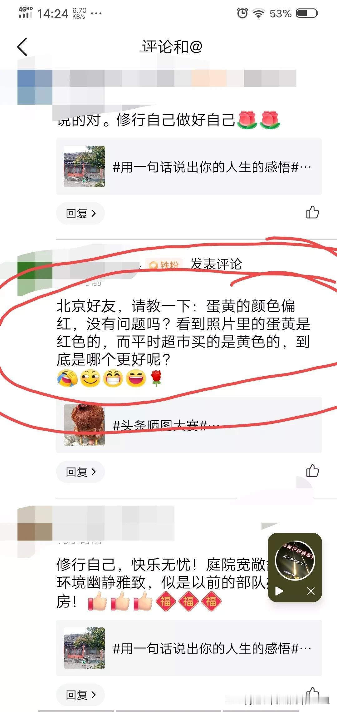 
北京好友，请教一下：
蛋黄的颜色偏红，
没有问题吗?
看到照片里的蛋黄是红色的