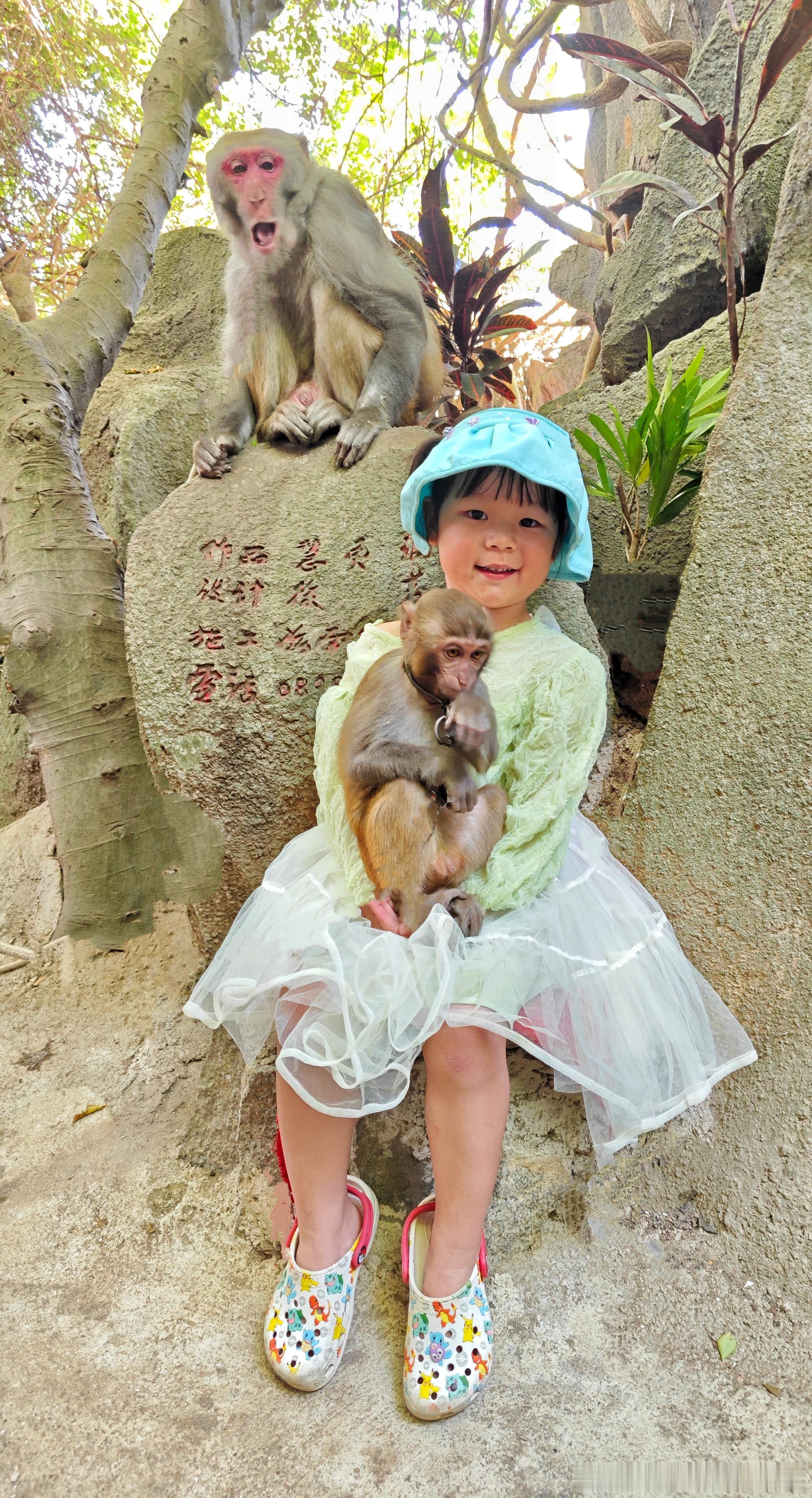 小姑娘抱走了它的猴崽儿！ ​​​