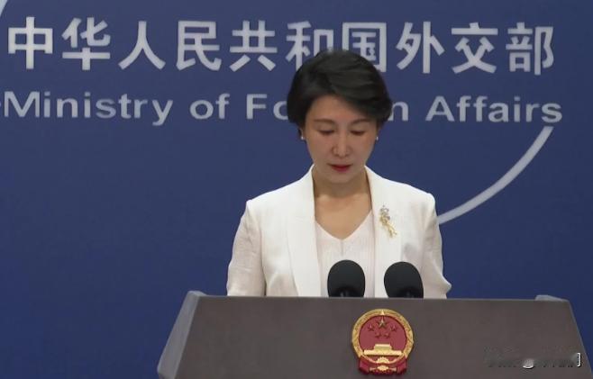 想象中的撤侨行动破灭了？

日本战争防御严密，中国军舰一旦闯入东京湾就会被打击，