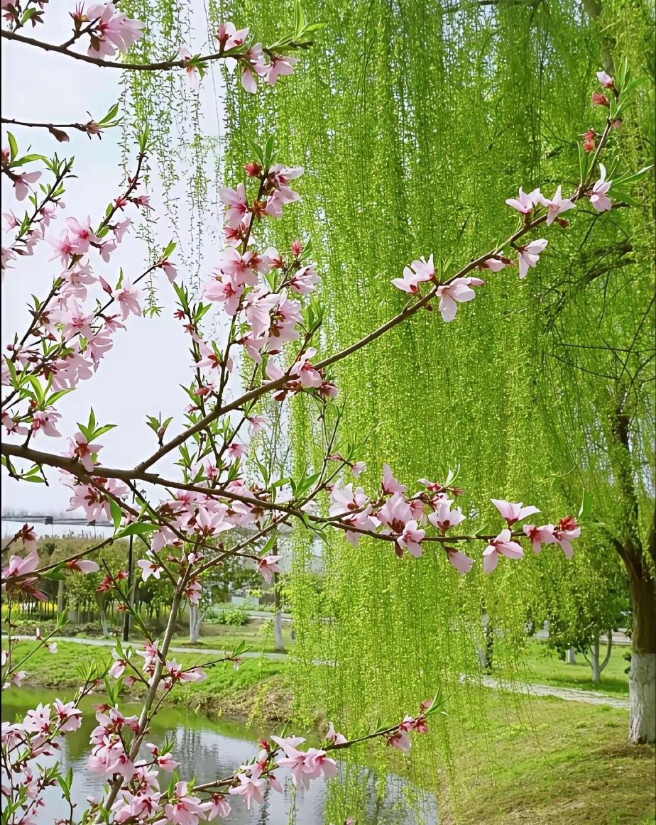 烟火日常
 
走进菜市场，才懂人间最踏实的幸福，从来不在远方，而在一菜一蔬里。
