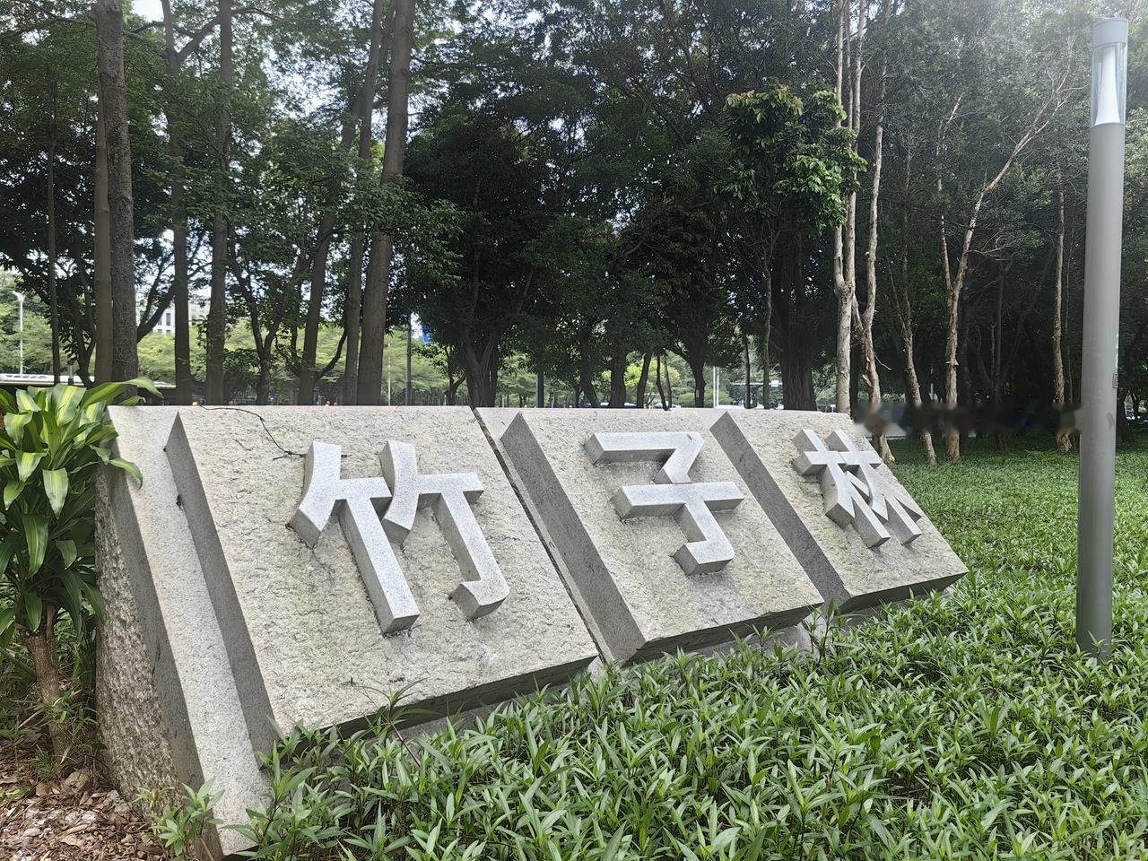 这里一根竹子都没有，谁来说一说这里叫竹子林却没有竹子。
深圳很多地名都很有意思的